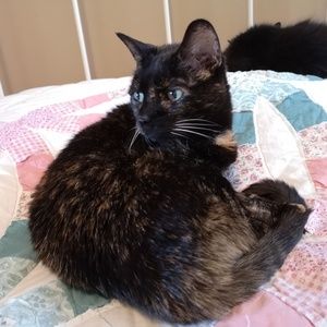 Meet your Posher, Paula